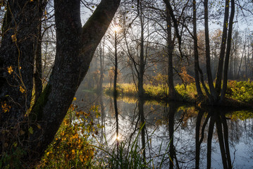 Złota Polska Jesień nad rzeką Supraśl, Podlasie, Polska