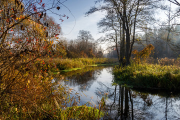 Złota Polska Jesień nad rzeką Supraśl, Podlasie, Polska