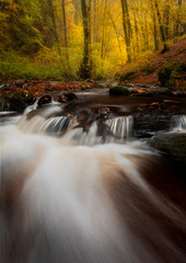Small waterfall near Bad Bertrich in Germany. Photo taken with a slightly slower shutter speed, the first colours of autumn are already visible.