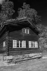 Norwegian Folk Architecture. In retro stile