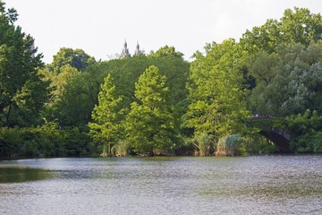 lake in the park