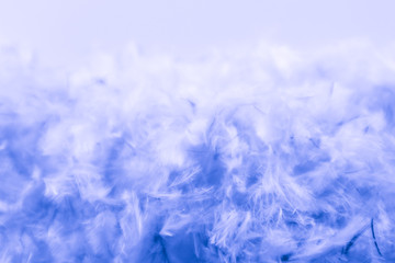 Fototapeta premium Beautiful abstract purple and blue feathers frame on darkness background and colorful soft white pink feather portrait frame texture