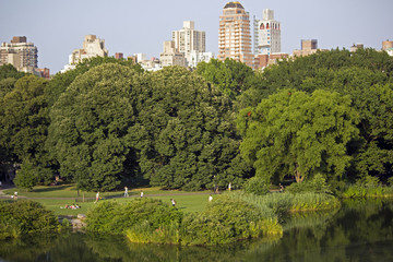 Fototapeta premium view of the city