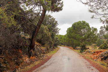 Road to the mountains in autumn
