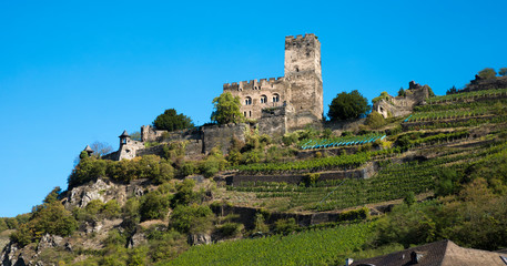 Fototapeta na wymiar Castle Gutenfels high above the village Kaub. Rhineland-Palatinate, Germany, Europe