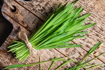 Fresh barley grass on a wooden background