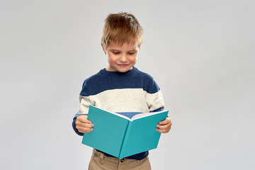 childhood and education concept - smiling little boy reading book over grey background