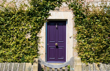 purple door
