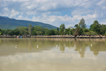 Lake with comfortable cabins and majestic view of mountains and all kinds of trees.