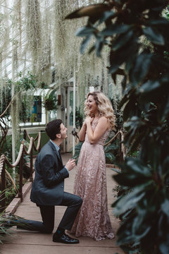 A surprise marriage proposal