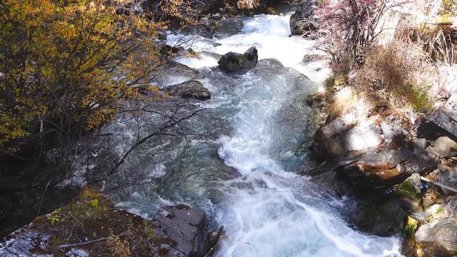 Mountain stream in The last Shangri la, Daocheng-yading, Beautiful Scenic of Yading Natural Reserve, Sichuan, China. in slow motion. 