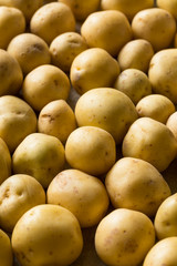 Organic White Baby Potatoes