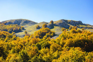 Obraz premium autumn landscape of the woods and hills of the Molise region in Italy