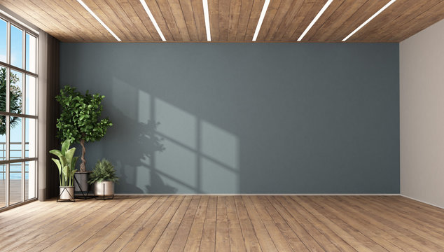 Empty room with plants and blue wall