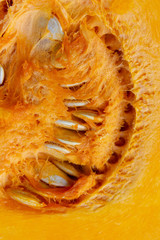 pumpkin with seeds,part of sliced ripe pumpkin with seed