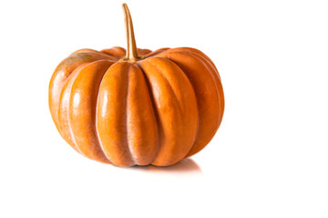 Textured orange pumpkin with a long tail on a white background