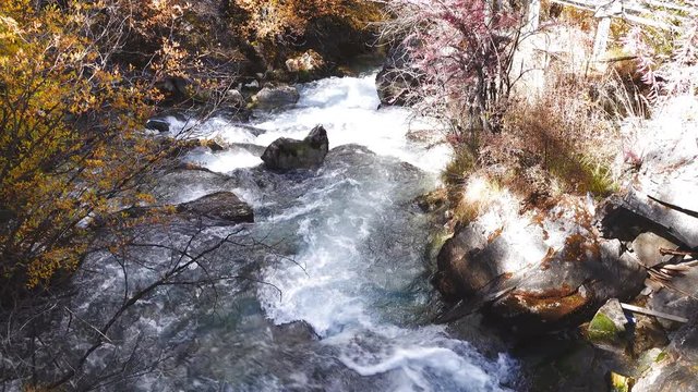 Mountain stream in The last Shangri la, Daocheng-yading, Beautiful Scenic of Yading Natural Reserve, Sichuan, China. in slow motion. 
