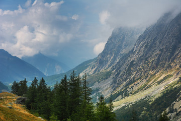 Fototapeta premium Beautiful scenery from the Italian Alps with picturesque rivers and waterfalls, cliffs and magical mountain valleys