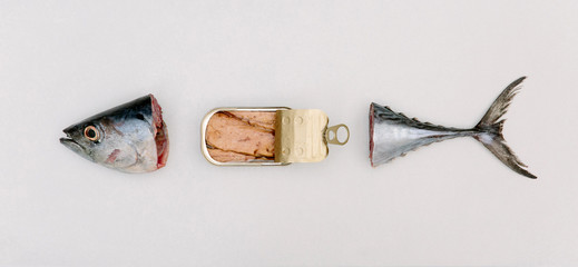 Tuna head and tail with tin of tuna concept