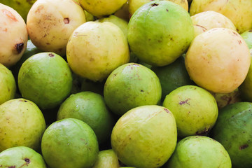 Guavas Fruit Fresh From Farm