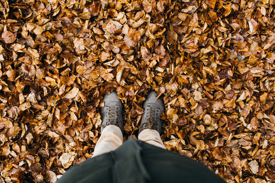 Feet sink into dry leaves.
