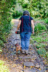 Mature woman with her dachshund, seen from behind, walking and looking down at a path with wet stones, day at the beginning of the autumn in Schinnen (Beekdal Route), the Netherlands Holland