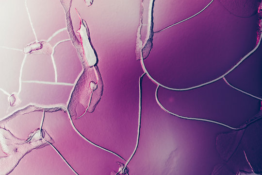 Abstract violet cell under microscope