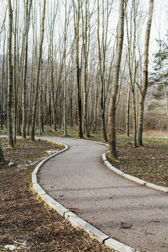 Asphalted road in S shape.