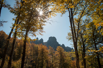 Fototapeta premium Autumn on the mountain. Blue sky and yellow leaves. View of the mountain top