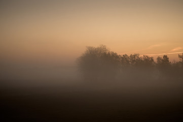 Fototapeta na wymiar foggy sunrise