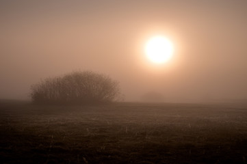 foggy sunrise 