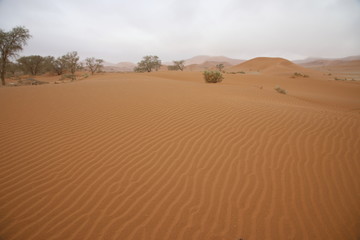 Fototapeta na wymiar Numib desert