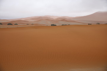Fototapeta na wymiar Numib desert
