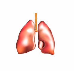 human Lungs stock illustration