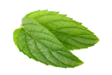 Obraz premium Fresh mint leaves isolated on white background