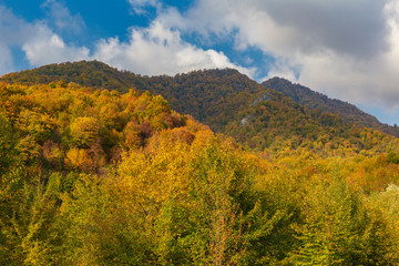 Golden autumn high in the mountains