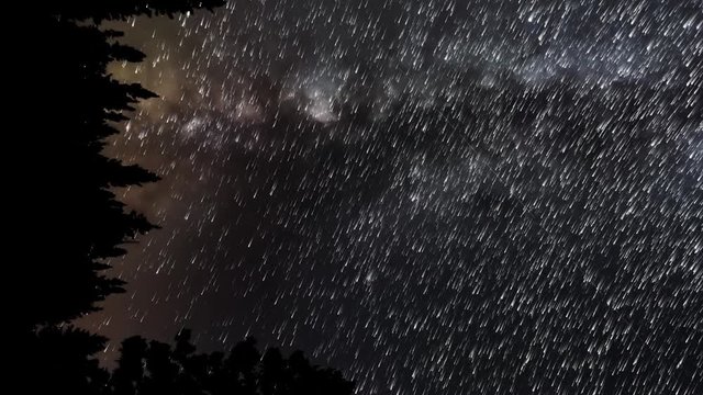 A vertically oriented star trails time lapse of the Milky Way with pine tree silhouettes in the foreground.  