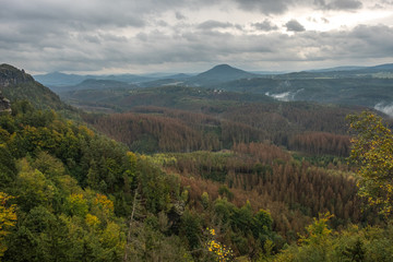 Obraz premium Waldsterben in der sächsischen und böhmischen Schweiz