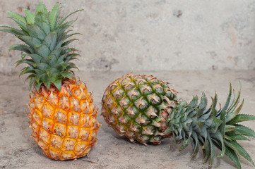 yellow mini pineapple on a gray background. Pineapple from Thailand. Two pineapples.