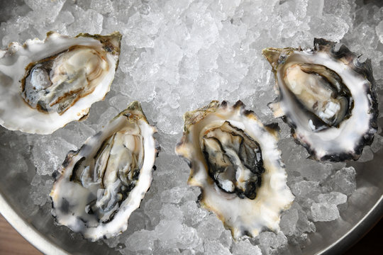 Close up of oyster in ice bowl