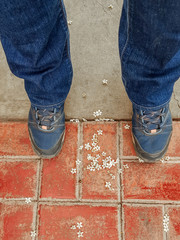 two blue shoes on a red ground