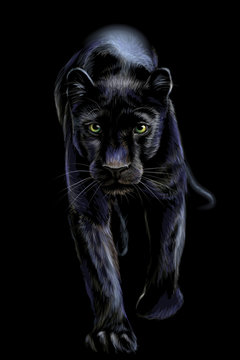 35,612 BEST Black Puma IMAGES, STOCK PHOTOS & VECTORS | Adobe Stock