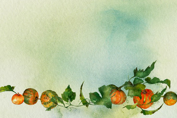 watercolor background with orange pumpkins and vine - 298134707