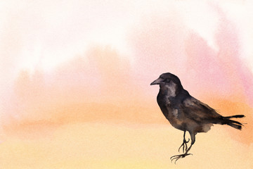 watercolor background in pinks with crow