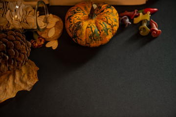 halloween pumpkins with leaves on a background