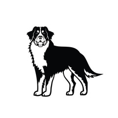 Bernese mountain dog - isolated vector illustration