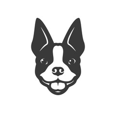 Boston terrier dog - vector illustration