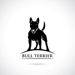 Bull Terrier dog - vector illustration