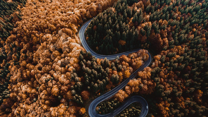 Aerial view of curvy road in beautiful autumn forest at sunset. Top view of roadway with autumn colors. Europe roads and transportation concept