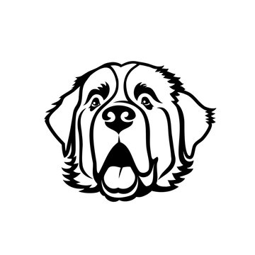 St. Bernard dog - isolated outlined vector illustration